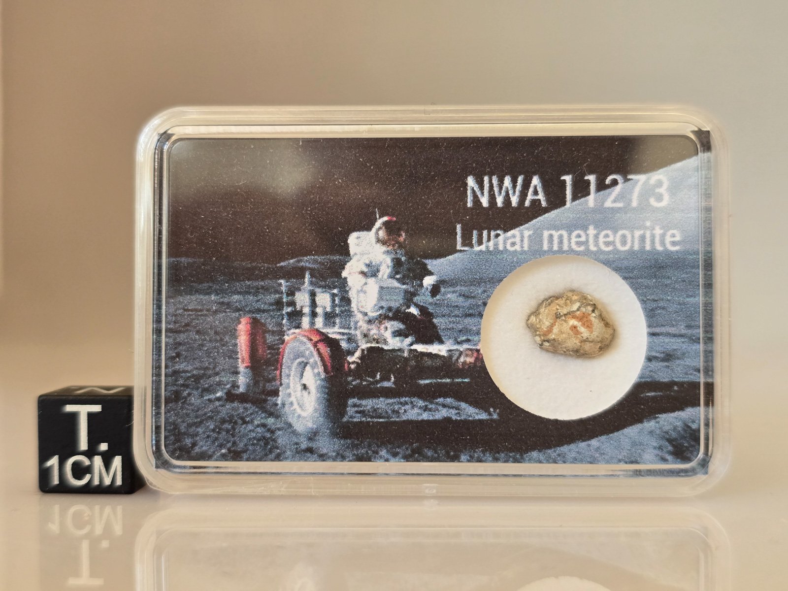 NWA 11273 (lunar) - 0.355g specimen