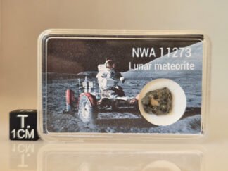 NWA 11273 (lunar) - 0.762g specimen