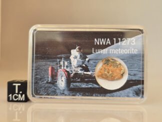 NWA 11273 (lunar) - 0.795g specimen