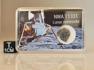 NWA 11331 (feldsp. breccia) - 0.54g slice
