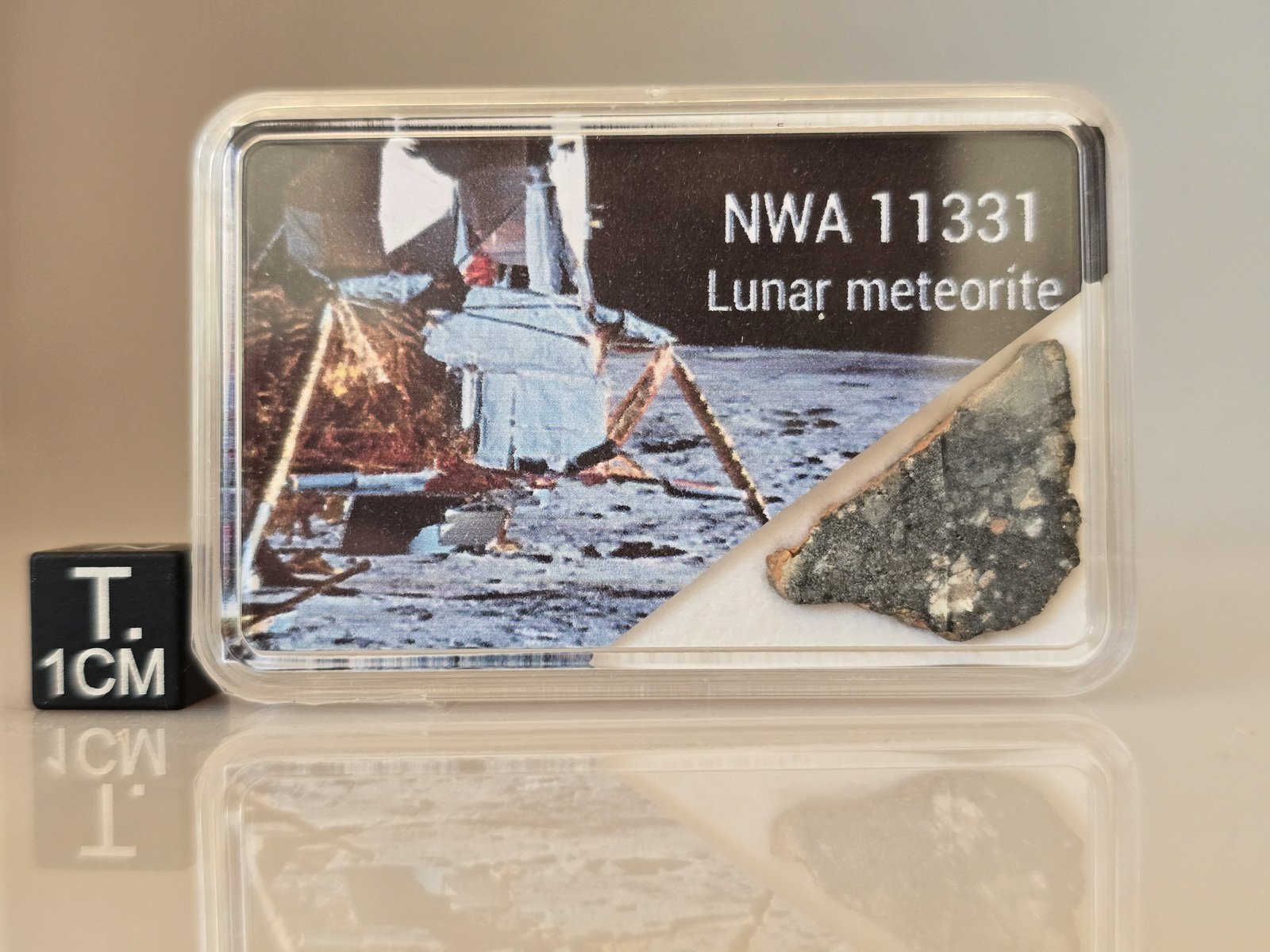 NWA 11331 (feldsp. breccia) - 0.96g slice