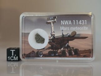 NWA 11431 (shergottite) - 0.209g part slice