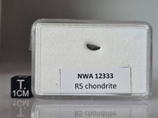 NWA 12333 (R5) - 0.050g part slice