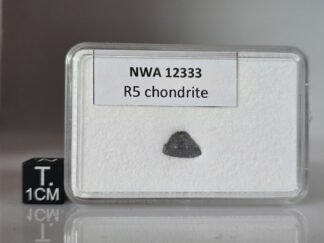 NWA 12333 (R5) - 0.161g part slice