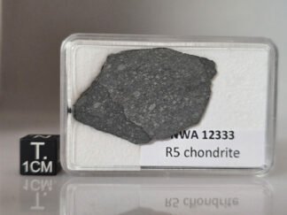 NWA 12333 (R5) - 4.62g slice
