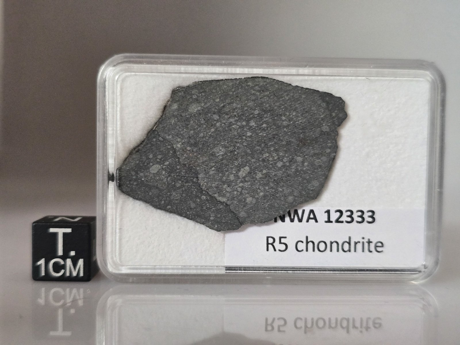 NWA 12333 (R5) - 4.62g slice