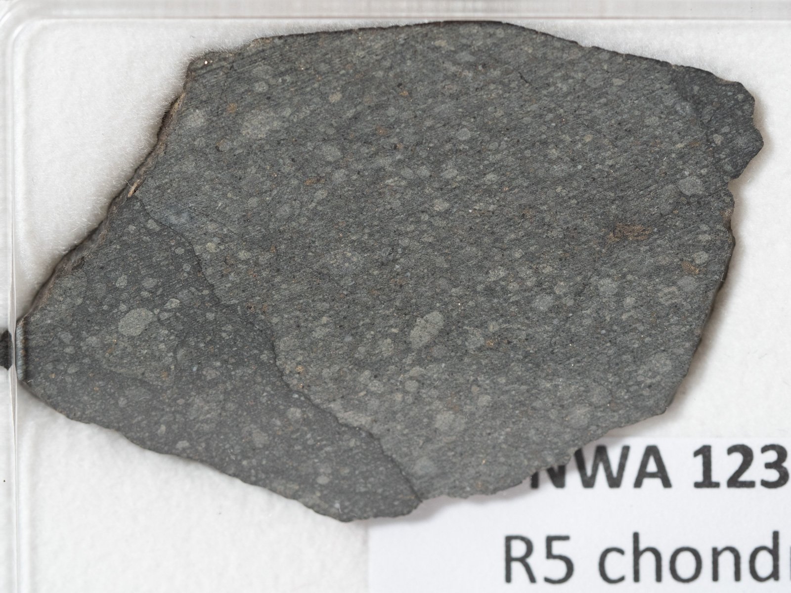 NWA 12333 (R5) - 4.62g slice - Image 2
