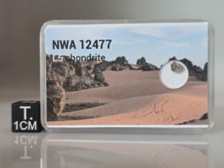 NWA 12477 (L5) - 0.029g part slice