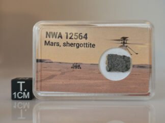 NWA 12564 (shergottite) - 0.441g part slice