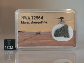 NWA 12564 (shergottite) - 0.547g part slice