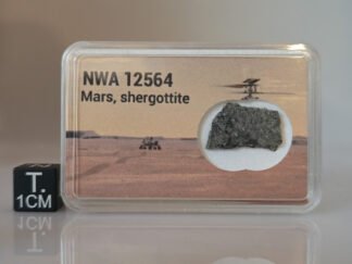 NWA 12564 (shergottite) - 0.732g part slice