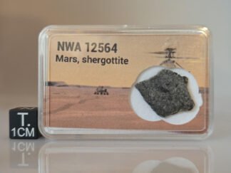 NWA 12564 (shergottite) - 1.064g part slice