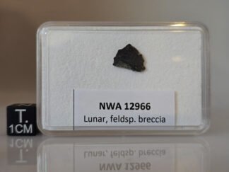 NWA 12966 (feldsp. breccia) - 0.129g part slice