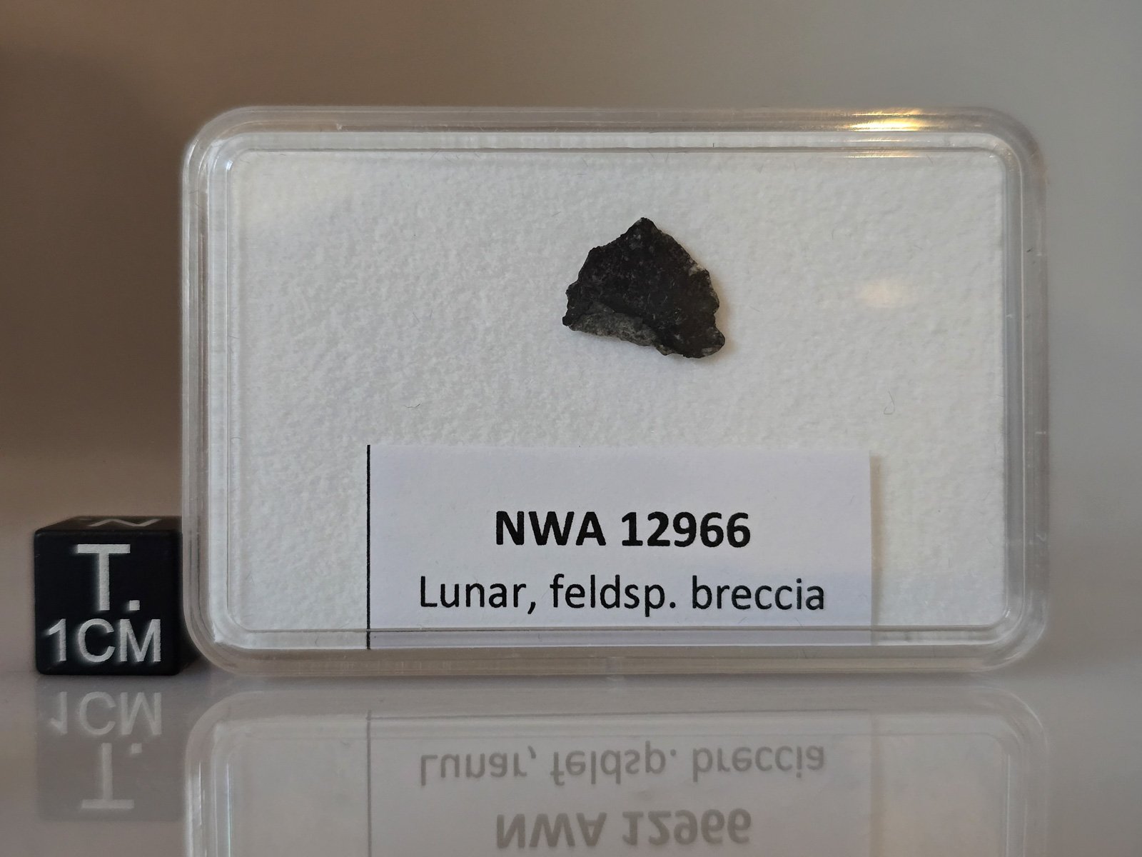 NWA 12966 (feldsp. breccia) - 0.129g part slice