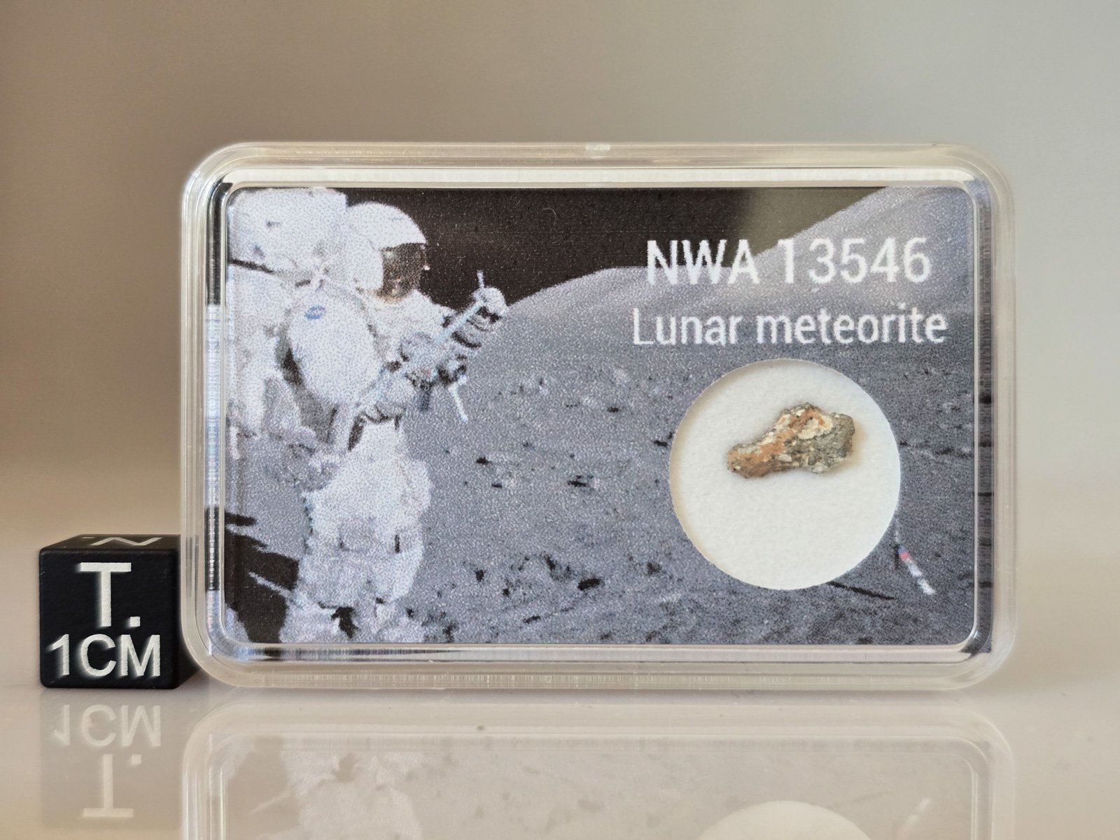 NWA 13546 (lunar) - 0.113g part slice