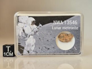 NWA 13546 (lunar) - 0.61g specimen