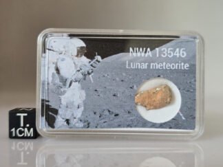 NWA 13546 (lunar) - 0.72g specimen