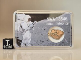 NWA 13546 (lunar) - 0.82g specimen