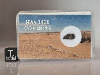 NWA 1465 (CV3 anom) - 0.129g part slice