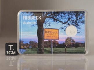 Ribbeck (aubrite) - fragment nr 6